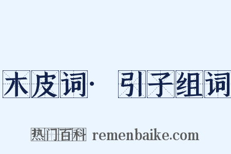 木皮词·引子组词是什么意思的图片